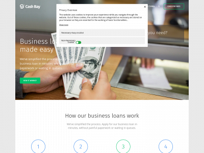 staronepayday.com snapshot