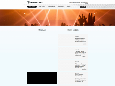 triangle-pro.com snapshot