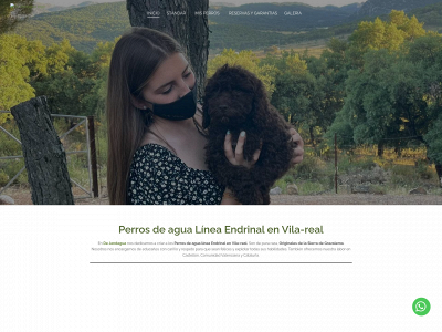 dejandagua.com snapshot