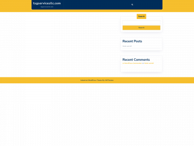 tsgservicesllc.com snapshot