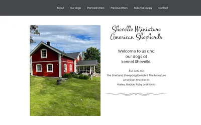 shevelle.se snapshot