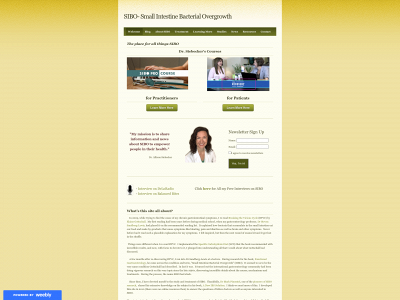 www.siboinfo.com snapshot
