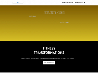 lampleyfitnesslab.com snapshot