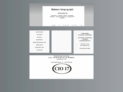 cio17.dk snapshot