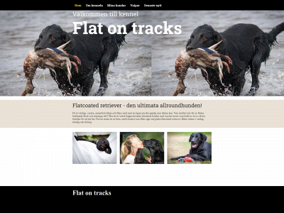 flatontracks.se snapshot