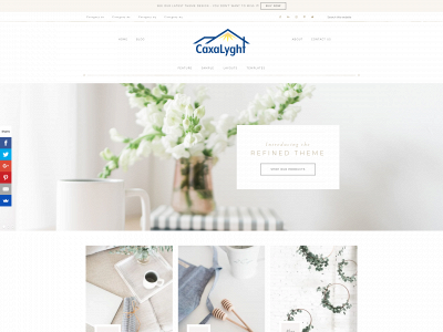 caxalyght.com snapshot