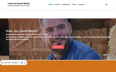 vuelacondavidmartin.com snapshot