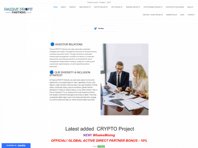 passiveprofitpartners.weebly.com snapshot