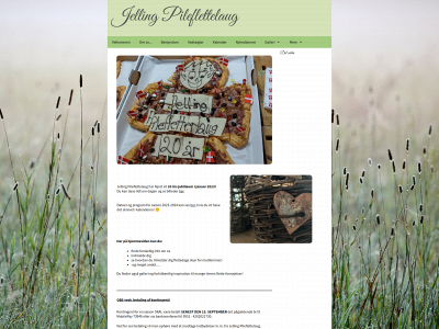 jellingpileflettelaug.dk snapshot