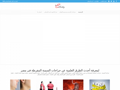 drahmedelsobky.net snapshot