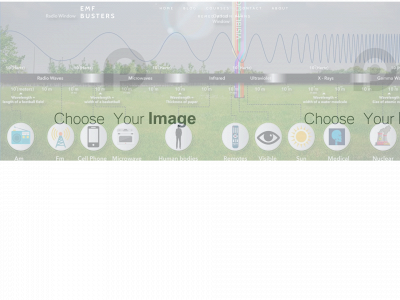 emf-busters.com snapshot