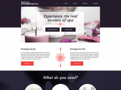 dildoexpress.dk snapshot