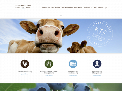 kitchentableconsultants.com snapshot