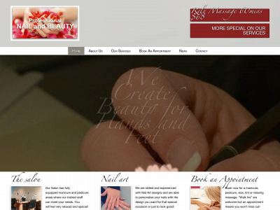 professionalnail.co.nz snapshot