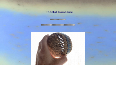 chantaltramasure.be snapshot