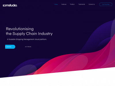 scmstudio.biz snapshot