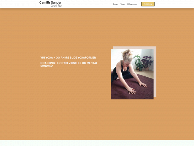 camillasander.dk snapshot
