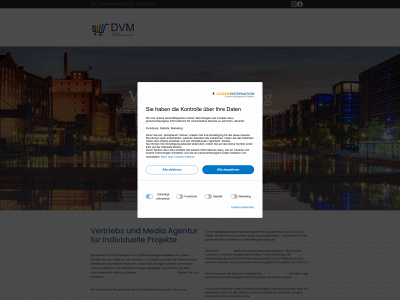dvmgmbh.de snapshot