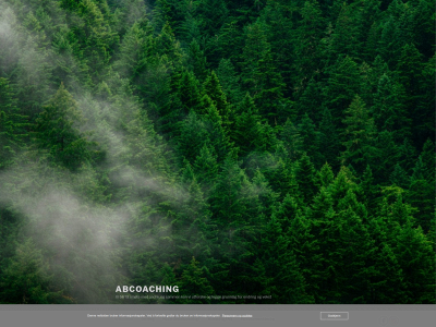 abcoaching.no snapshot