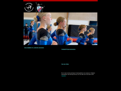 teamgymsyd.dk snapshot