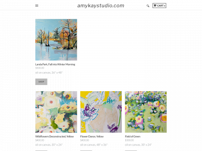 www.amykaystudio.com snapshot