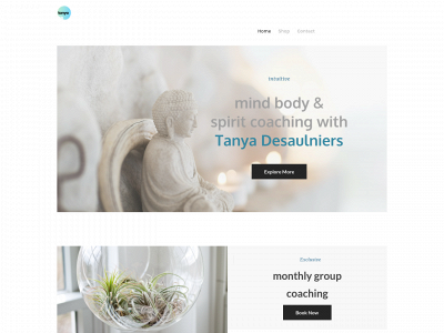 tanyad3.weebly.com snapshot