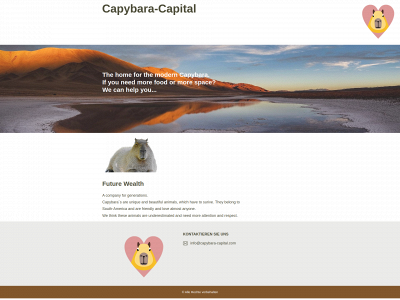 capybara-capital.com snapshot
