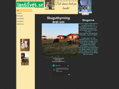lantlivet.se snapshot