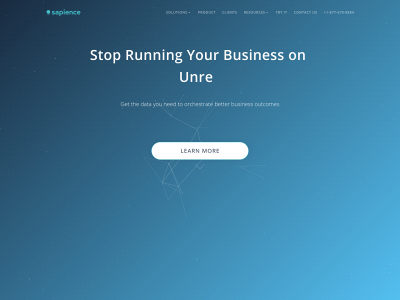 sapience.net snapshot