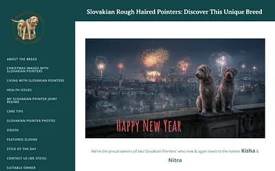 brookes.wales snapshot