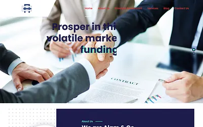 alamandcoaccountants.com snapshot