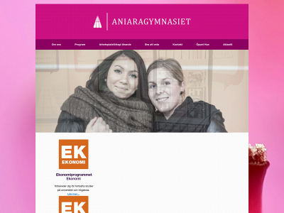 aniaragymnasiet.se snapshot