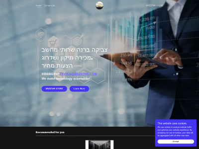 brzstar.com snapshot