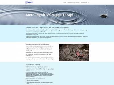 reactinstitute.group snapshot