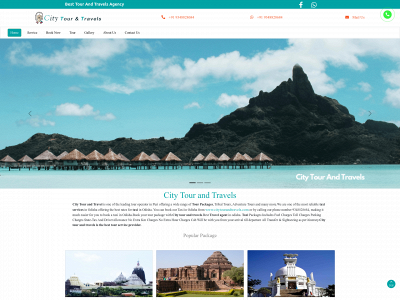 citytourandtravels.com snapshot