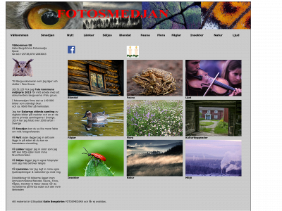 fotosmedjan.se snapshot
