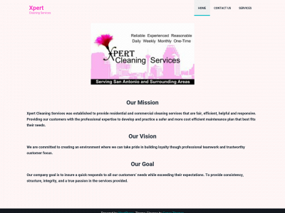 thexpertcleaningservices.com snapshot