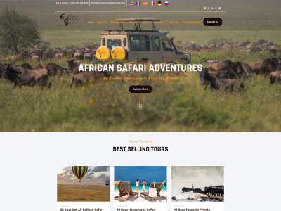faceafricaadventures.com snapshot