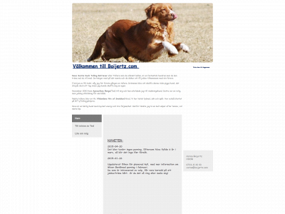 boijertz.com snapshot