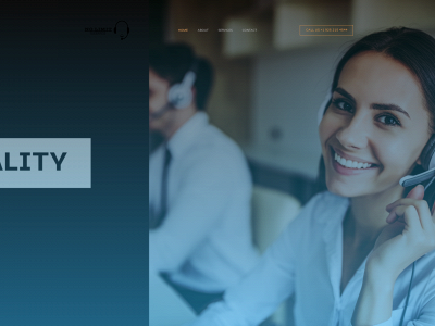 nolimitteleservices.com snapshot