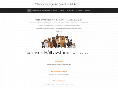 valbobk.se snapshot