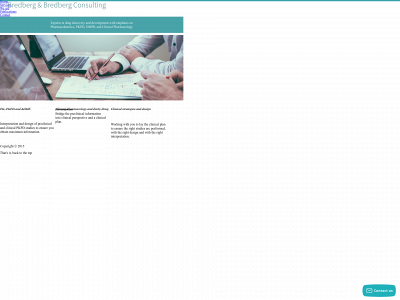 bredbergconsulting.com snapshot