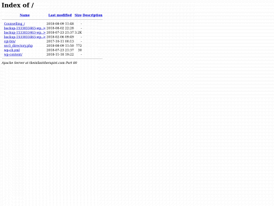 theinfanttherapist.com snapshot