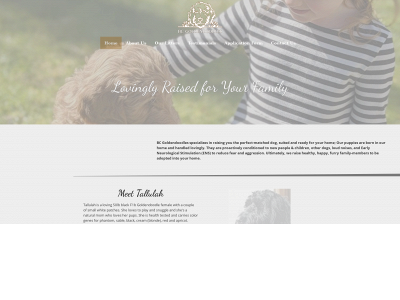 bcgoldendoodles.com snapshot