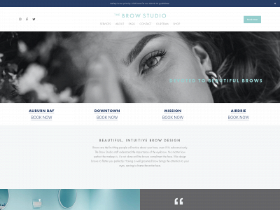 thebrowstudio.ca snapshot