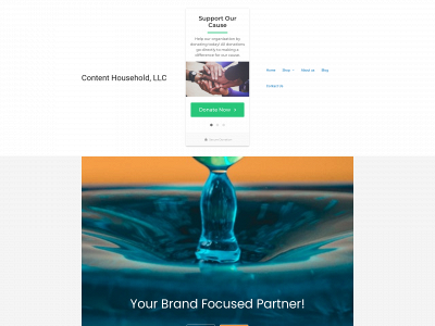 contenthousehold.com snapshot