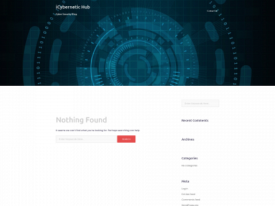 icybernetichub.com snapshot