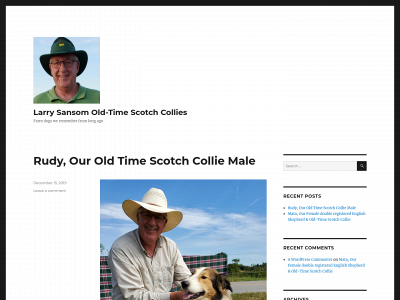 sansomfarmcollies.com snapshot