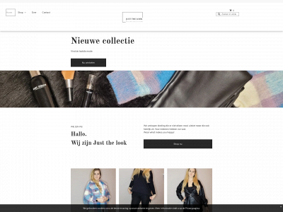 justthelook.nl snapshot