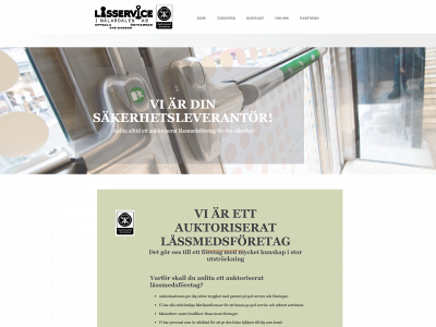 lsim.se snapshot